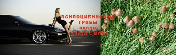 соль ск Сафоново