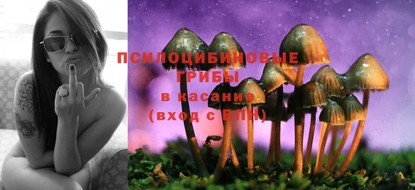 дмт Россошь
