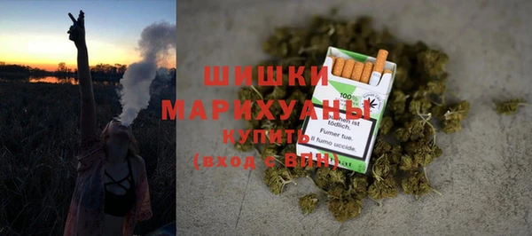 тгк Рославль