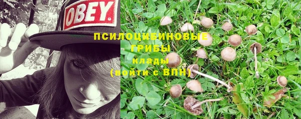 тгк Рославль