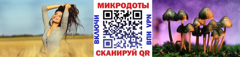 Купить закладки  Спасск-Рязанский  Галлюциногенные грибы Magic Shrooms